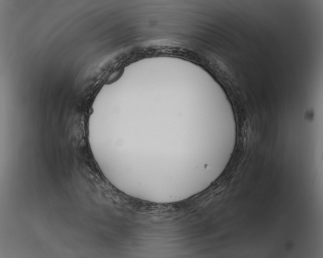 X0000116561062200912311928