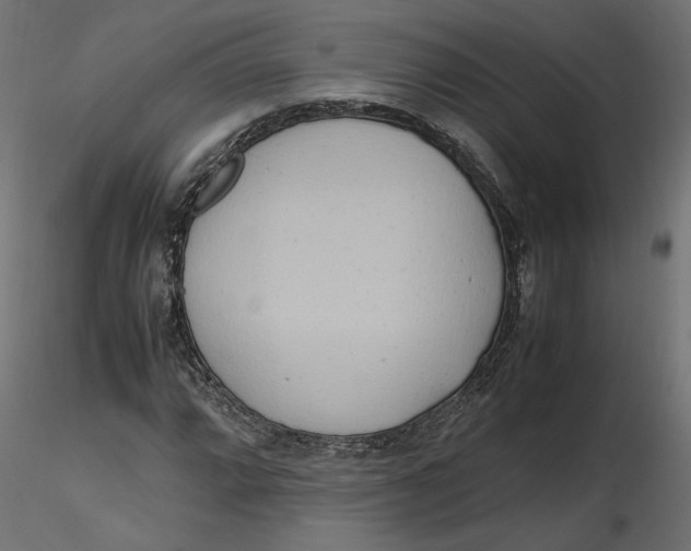 X0000116561064200912311928