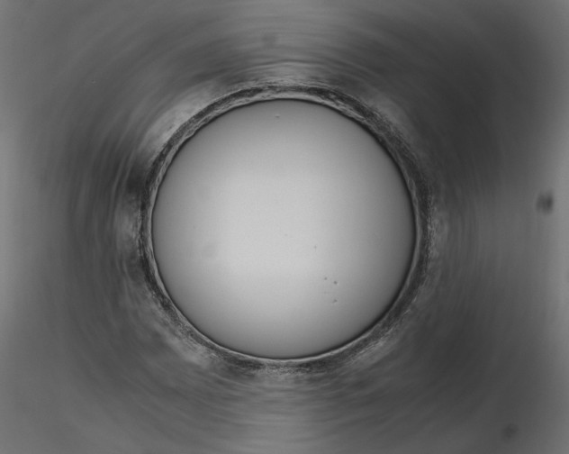 X0000116561065200912311928