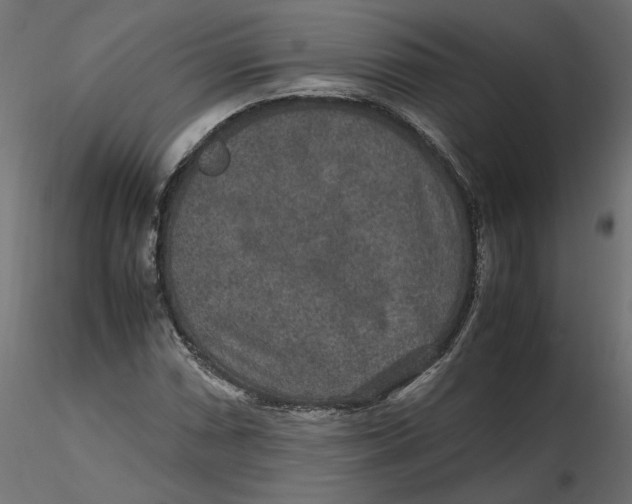 X0000116561066200912311928