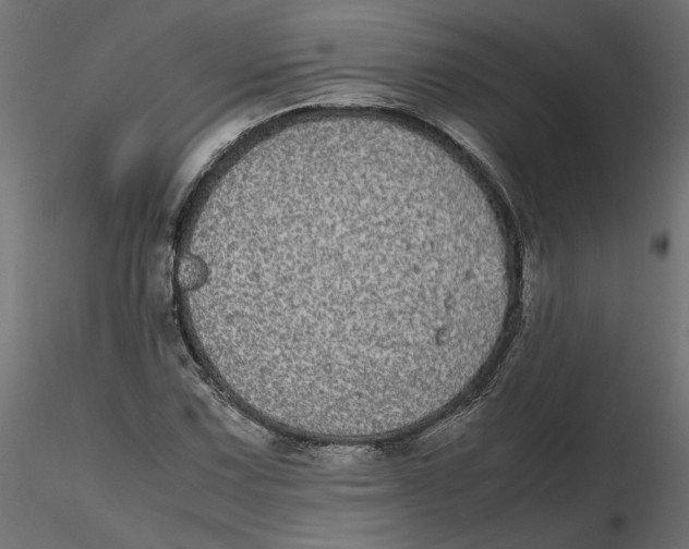 X0000116561067200912311928