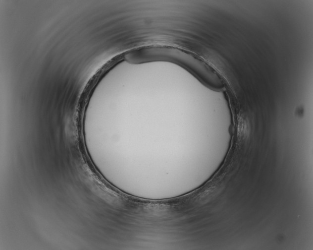 X0000116561068200912311928