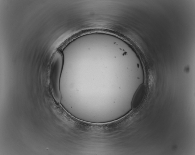 X0000116561069200912311928