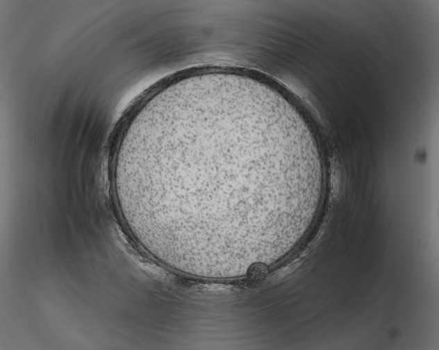 X0000116561070200912311928