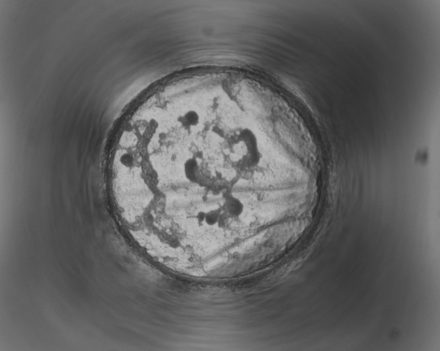 X0000116561071200912311928