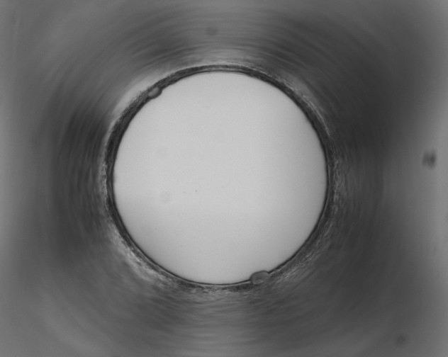 X0000116561072200912311928