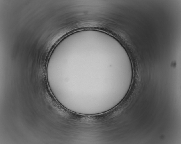 X0000116561073200912311928