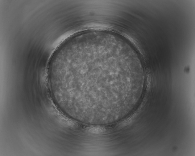 X0000116561074200912311928