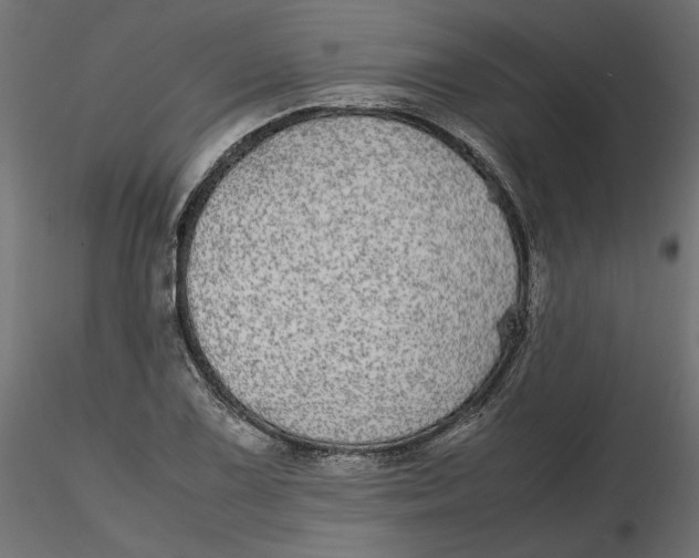 X0000116561075200912311927