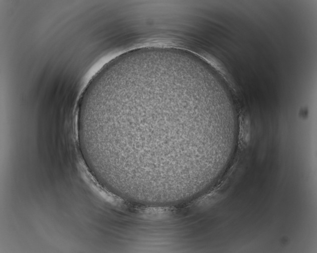 X0000116561078200912311927