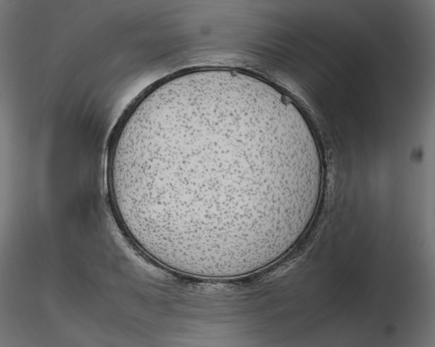 X0000116561079200912311927