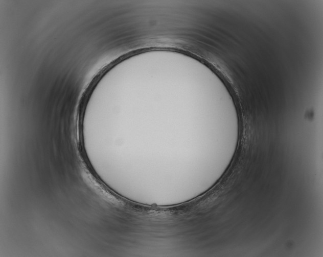 X0000116561080200912311927