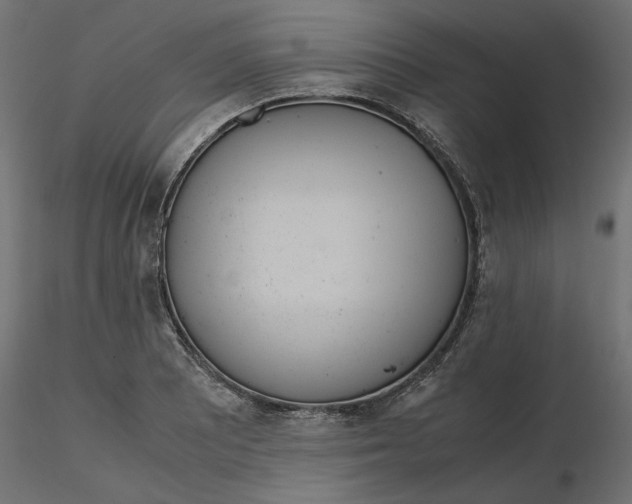 X0000116561081200912311927