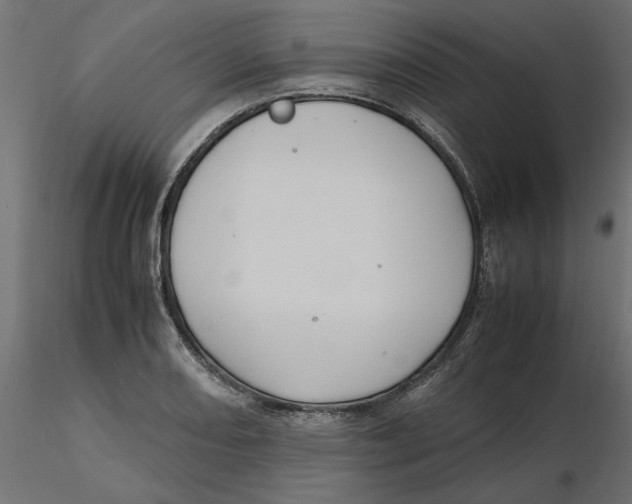 X0000116561082200912311927