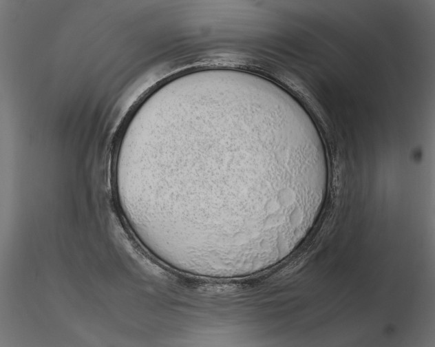 X0000116561083200912311927