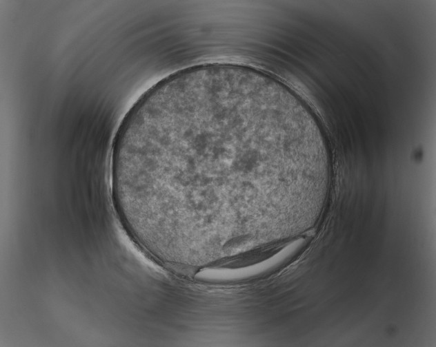 X0000116561084200912311927