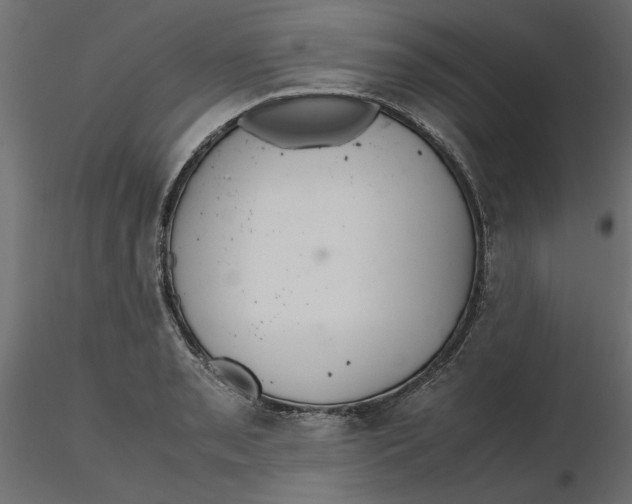 X0000116561085200912311927