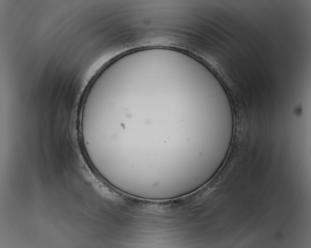 X0000116561086200912311927