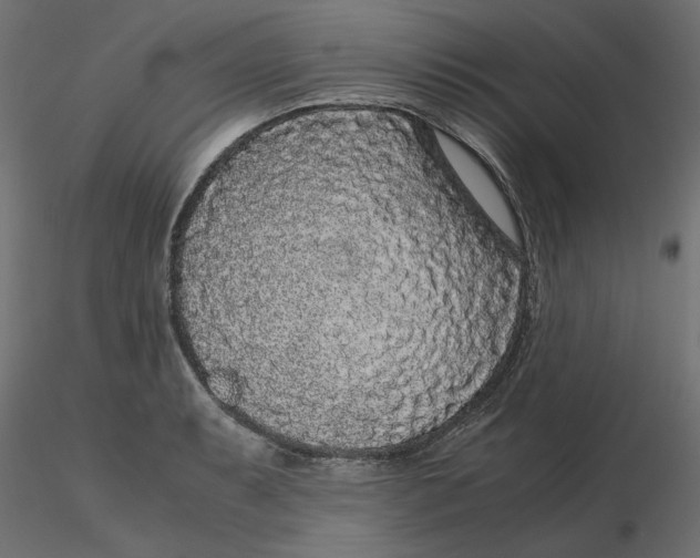 X0000116561087200912311927