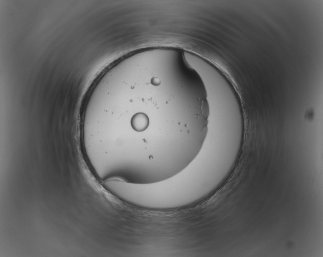 X0000116561088200912311927