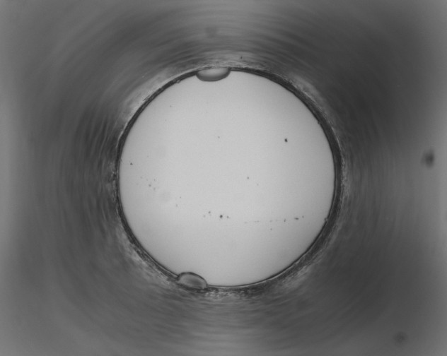 X0000116561089200912311927