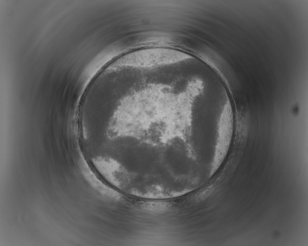 X0000116561090200912311927