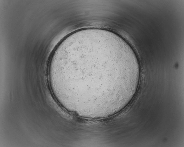 X0000116561091200912311927