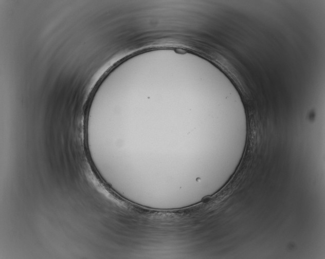 X0000116561092200912311927