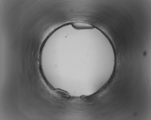 X0000116561093200912311927