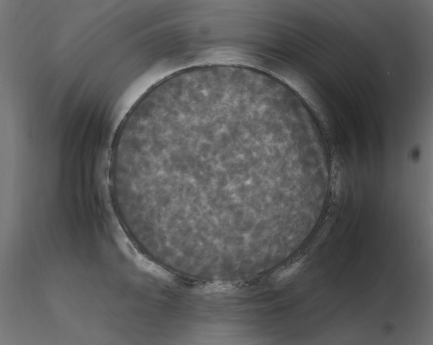 X0000116561094200912311927