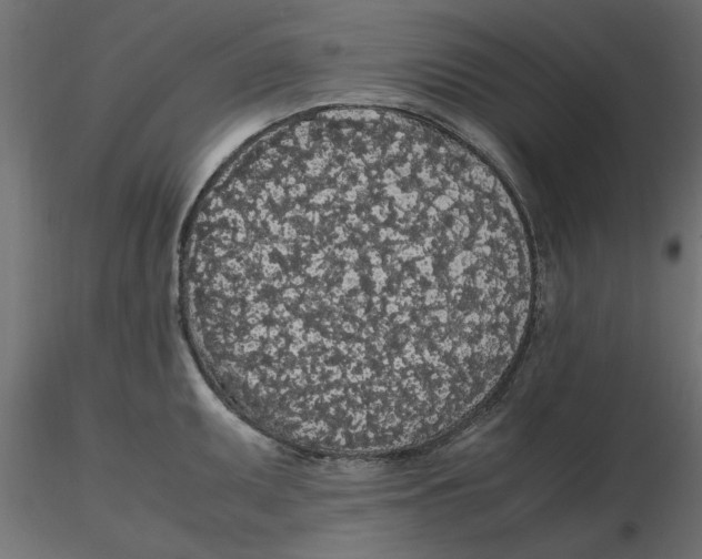 X0000116561095200912311927