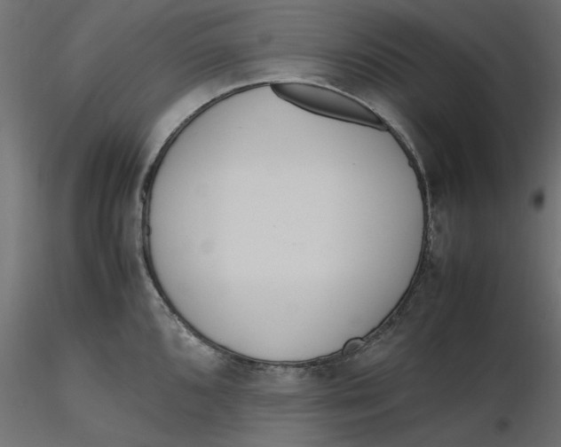 X0000116561096200912311927