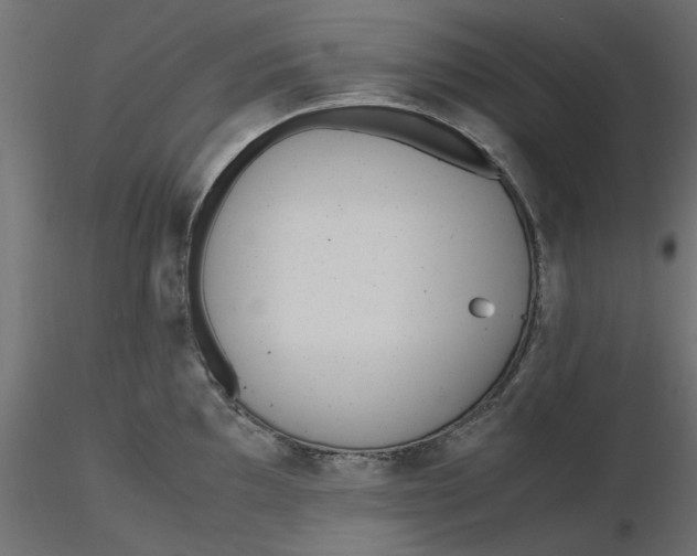 X0000116561097200912311927