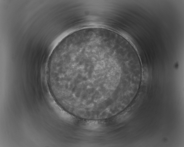 X0000116561098200912311927