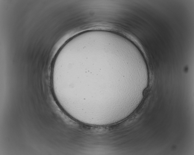 X0000116561099200912311927