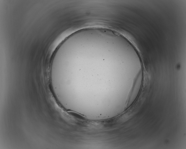 X0000116561101200912311927