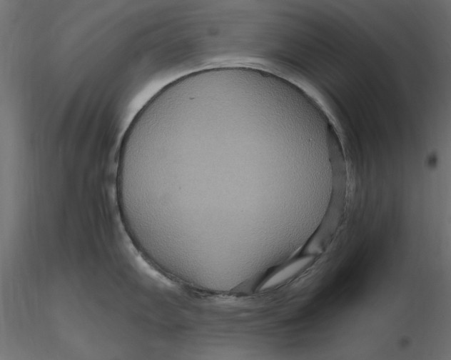 X0000116561102200912311927