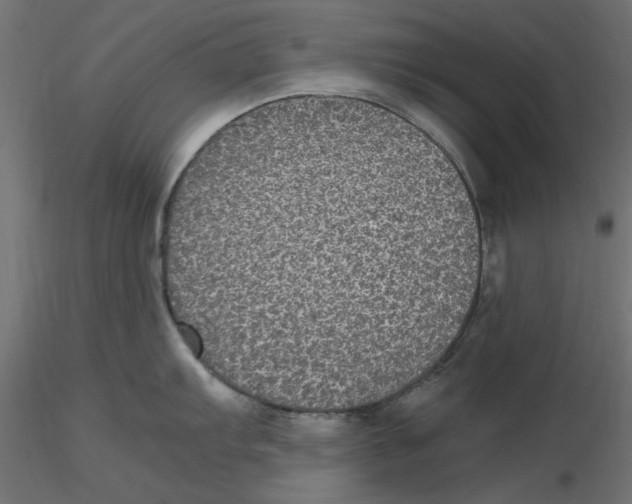 X0000116561103200912311927