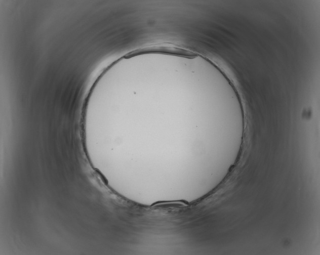 X0000116561104200912311927