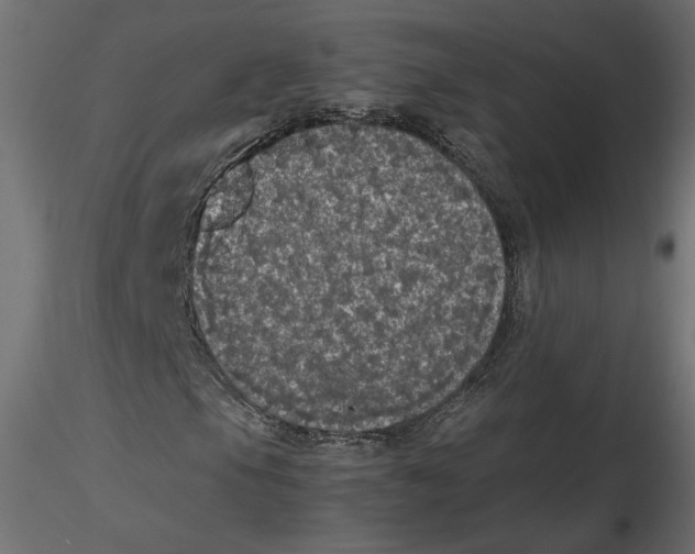 X0000116561105200912311926