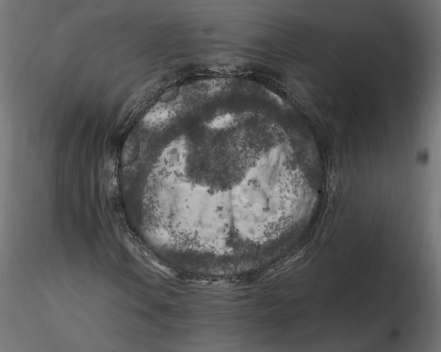 X0000116561106200912311926