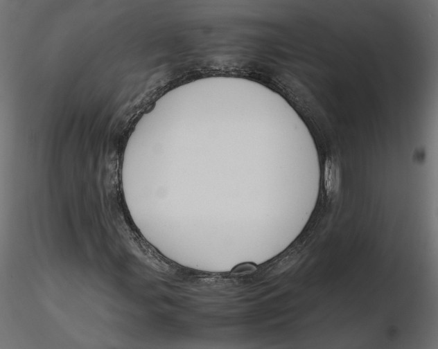 X0000116561107200912311926