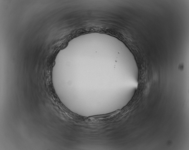 X0000116561109200912311927