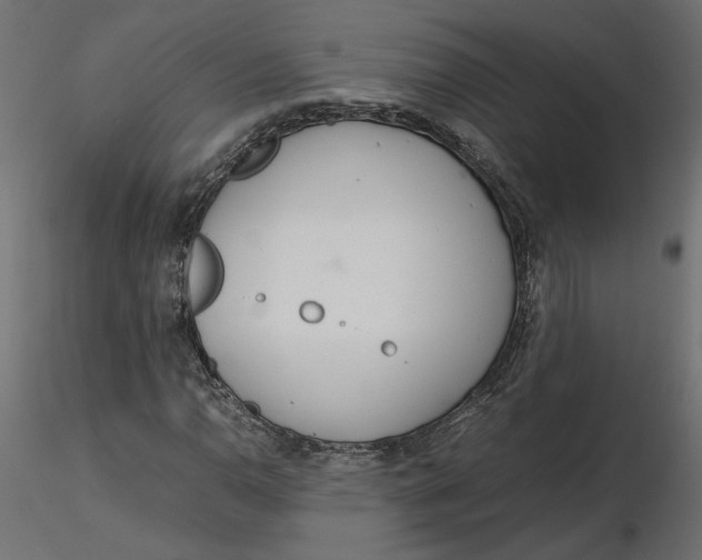 X0000116561110200912311927