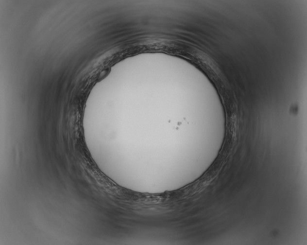 X0000116561111200912311927