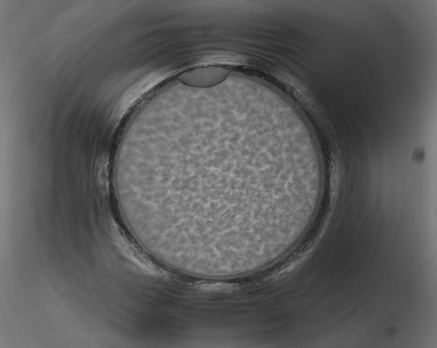 X0000116561113200912311927