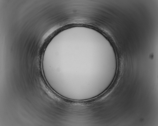 X0000116561114200912311927