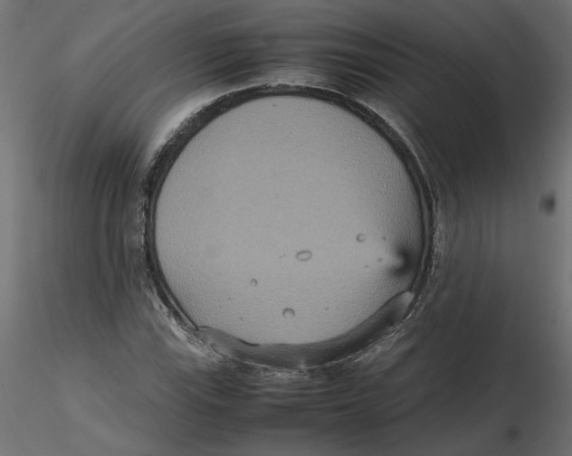 X0000116561115200912311927