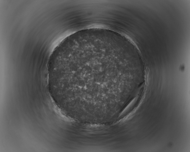 X0000116561117200912311927