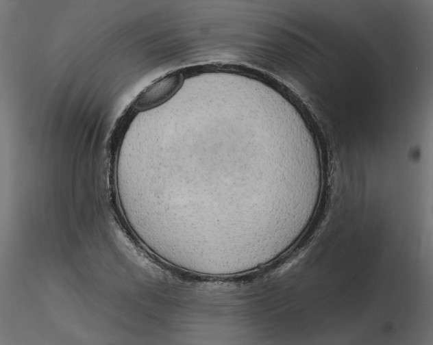 X0000116561118200912311927